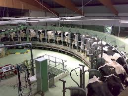 Improving efficiency for a Dairy with Glaston Compressor Services.